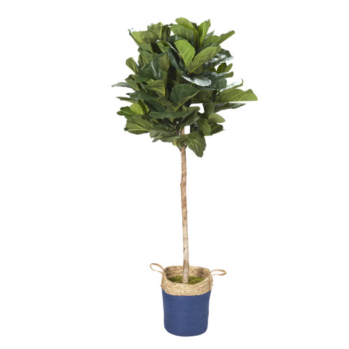 Primrue 84'' Faux Fiddle Leaf Fig Tree in Rattan Basket Wayfair